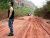 Pensando a natureza