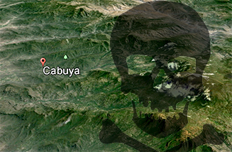 cabuya.jpg