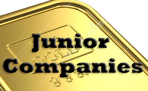 Junior Companies